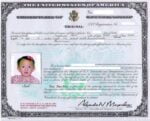 Naturalization Certificate